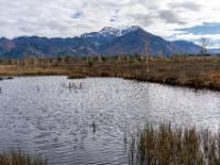 Am kleinen Moorsee mit Hochgern dahinter